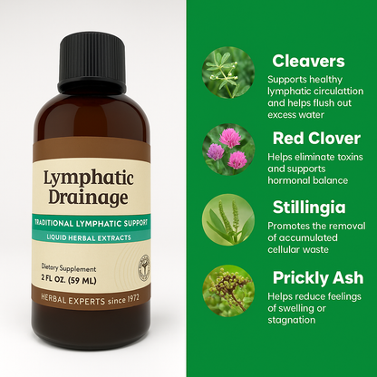 Liquid Lymphatic Drainage – Slimmer Face, Lighter Legs, Flatter Belly